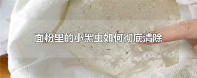 ​面粉里的小黑虫如何彻底清除