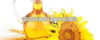 ​葵花籽油可以油炸东西吗