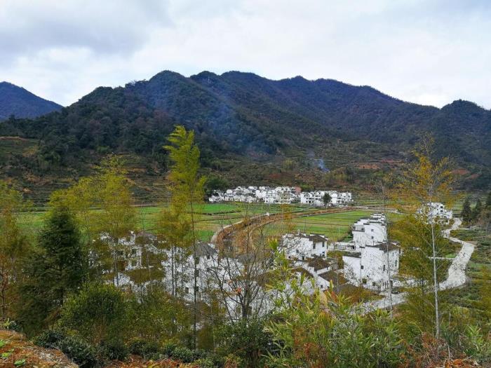 柳暗花明又一村的上一句（柳暗花明又一村）