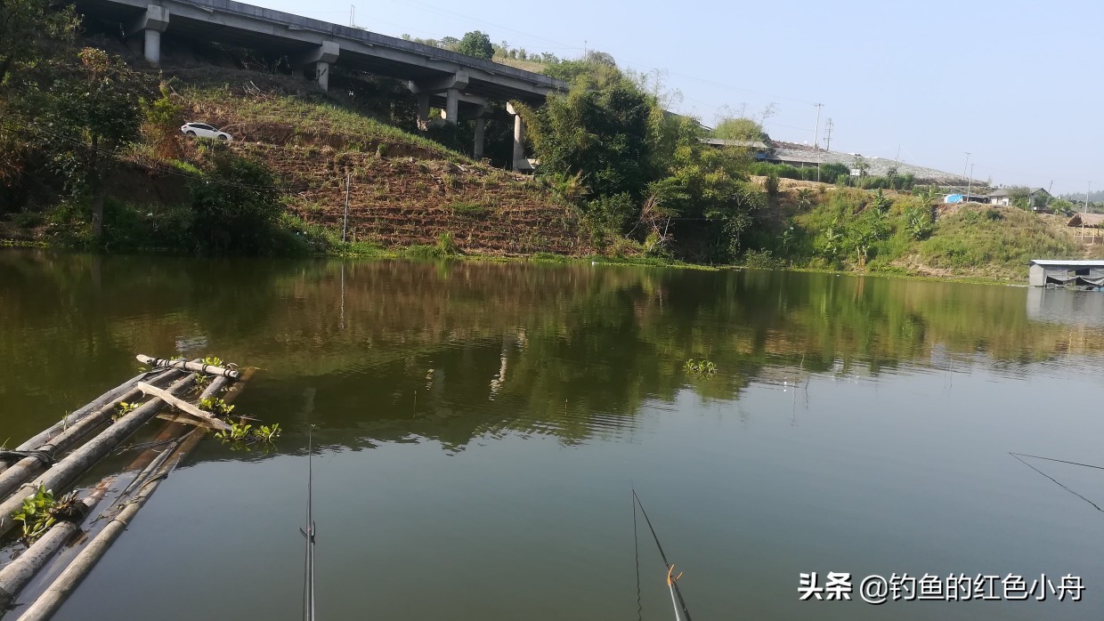 夏季夜钓鲫鱼的最佳时间（夏季夜钓鲫鱼最佳时间）