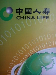 ​中国人寿分红型保险可靠吗(中国人寿分红型保险怎么查询分红)