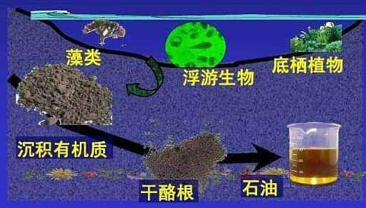 石油是如何形成的（石油是怎么形成的）