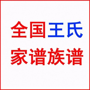 ​寻根问祖必备全国王氏家谱族谱1400种