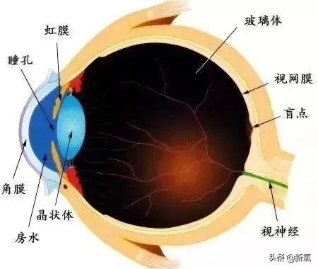 李念现实生活中的样子（虽然李念不再炫富了）(8)