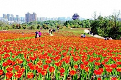 ​宜昌：这些景点特别适合自驾游！而且一律免费！收藏哦