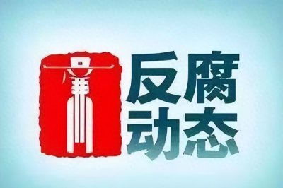 ​胡文海、鄢洪刚被查，龙和南被“双开”，黄文杰被开除党籍、取消其享受的待遇