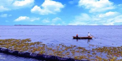 ​江苏旅游景点大全景点排名（盘点江苏省内的十大著名景点）