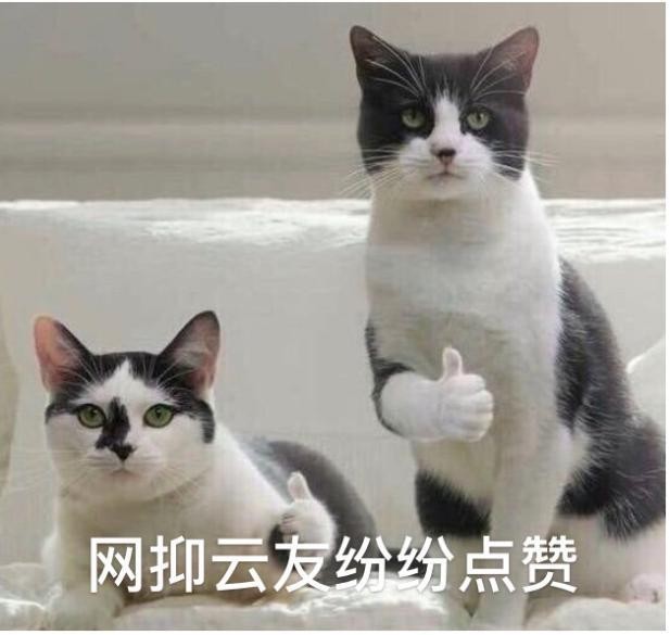 猪猪侠主题曲(这届年轻人到底在听什么？)