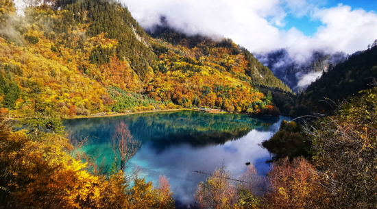 九寨沟旅游价格(九寨沟执行淡季门票价格)