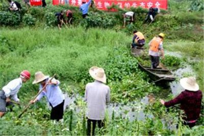 ​生物入侵的原因是什么