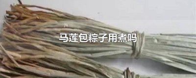 ​马莲泡多久包粽子 包粽子用马莲草怎么打结