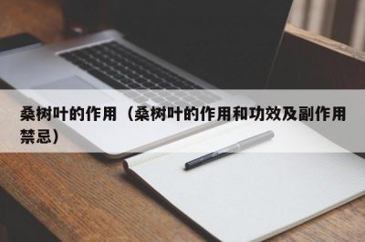 ​桑树叶的作用（桑树叶的作用和功效及副作用禁忌）