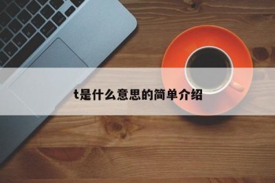 ​t是什么意思的简单介绍