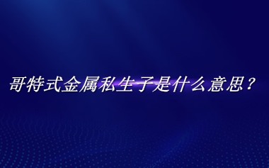 哥特式金属私生子是什么意思？