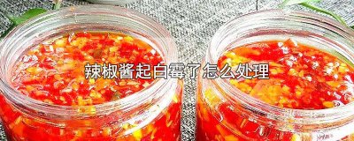 ​辣椒酱起白霉了能吃吗图片 辣椒酱起白霉了能吃吗有毒吗