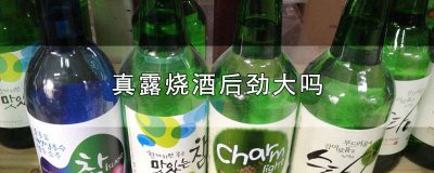 ​真露烧酒容易喝醉吗 真露烧酒哪个味道好