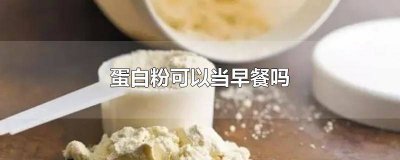 ​蛋白粉可以当早餐么 蛋白粉能当早餐吃吗?