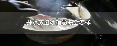 ​开水能不能放冰箱冷冻里面 冰箱冷冻里能放开水吗