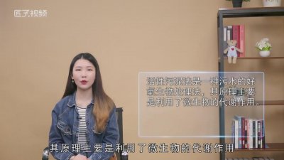 ​活性污泥法基本原理是什么 活性污泥法的主要原理