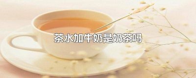 ​他们把牛奶放在茶水中的英文 奶茶茶用英语怎么说