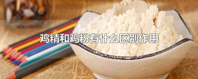 ​鸡精和鸡粉有什么区别作用 鸡精和鸡粉有什么区别作用与功效