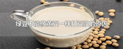 ​绿豆不能像黄豆一样打豆浆原因与什么有关系 绿豆不能像黄豆一样打豆浆原因是