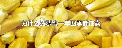 ​为什么一年四季都有菠萝蜜卖 菠萝蜜四季都有吗