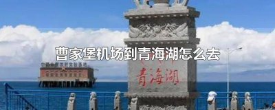 ​曹家堡机场到青海湖怎么去 曹家堡机场到青海湖怎么去 多久