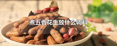 ​煮花生的调料放什么 煮花生放五香粉可以吗