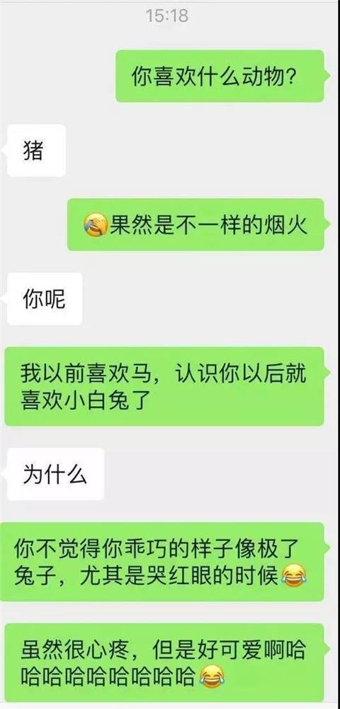 高级情话套路聊天记录2