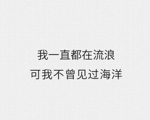 生活我一直都在流浪可我不曾见过海洋是什么歌（残酷月光歌词）  1