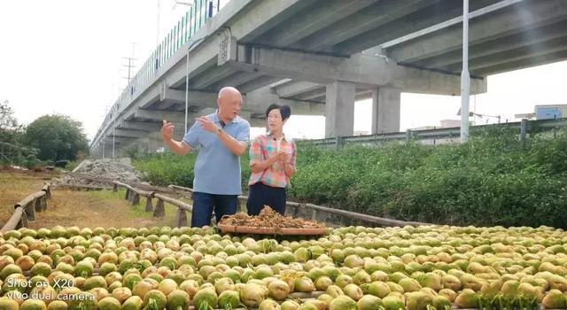 香港TVB《阿爷厨房》节目组来“世界美食之都”拍摄取景