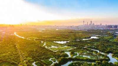 ​广东实施五大湿地保护重点工程！《广东省湿地保护规划》正式印发