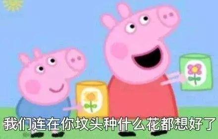 小猪佩奇凭什么这么火？知道真相的我眼泪掉下来....