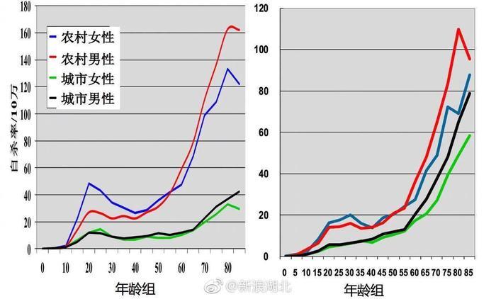 有关自杀的几个数据：1995-1999年