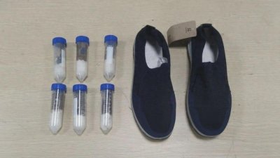 ​进境快件中的鞋子内藏6只蚂蚁被海关查获，专业鉴定：为巨人恐蚁和弓背蚁