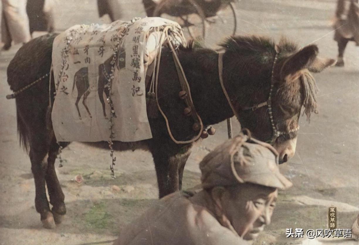 北京东四牌楼：1938年隆福寺庙会之所见，有只鹅太机智了