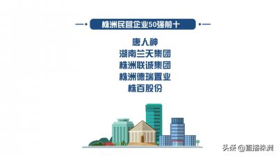 ​株洲民营经济50强出炉 唐人神位居榜首