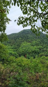 ​一座1元钱门票的千年古寺-苏州口碑最好、性价比高的灵岩山寺