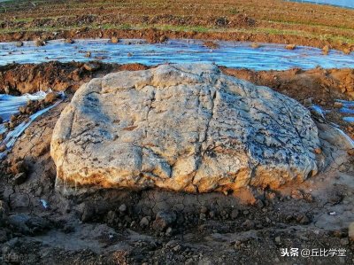 ​“全国最矮小的山”-山东静山