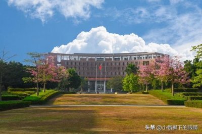 ​我们的政府为什么不清退所有的野鸡大学？